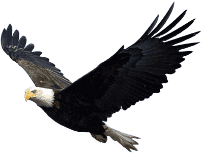 eagle.png